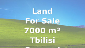 For Sale 7000 m² space Land in Lilo dist.