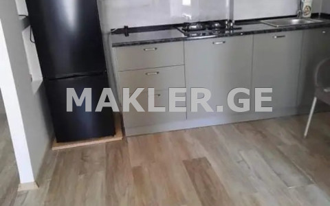  Kiralık 2   Daire in Saburtalo dist.  in Aslanidi st. 