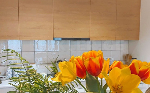  Kiralık 3   Daire in Vake dist.  in T.Tabidze st. 