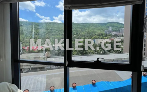  For Rent 3 room  Apartment in Vake dist.  in I. Chavchavadze Ave. 