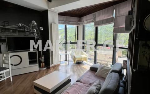  For Rent 3 room  Apartment in Vake dist.  in I. Chavchavadze Ave. 