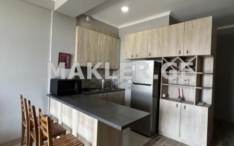  ქირავდება 2 ოთახიანი  ბინა ბაგებში  წყნეთის გზატკეცილზე 