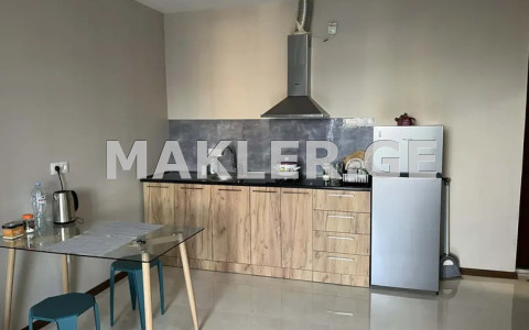  Kiralık 2   Daire in Vake dist.  in N. Ramishvili st. 