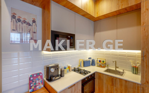  For Rent 2 room  Apartment in Vake dist.  in Arakishvili st. 