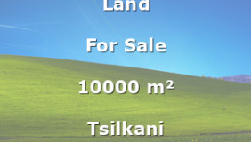 იყიდება 10000 m² ფართობის მიწა