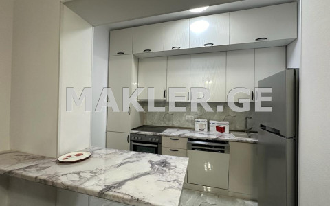  For Rent 2 room  Apartment in Vake dist.  Zurab Avalishvili Street 