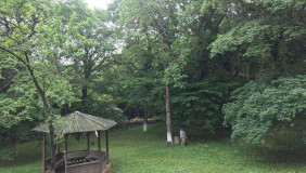 For Rent 230 m² space Private House in Kojori