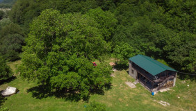 For Sale 5722 m² space Country house