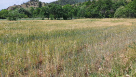 For Sale 1700 m² space Land