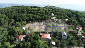 იყიდება 6860 m² ფართობის მიწა კოჯორში