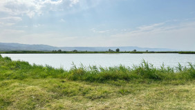 იყიდება 650000 m² ფართობის მიწა წნორში
