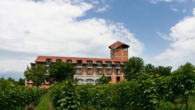 Satılık 5362 m²  İşyeri in Telavi