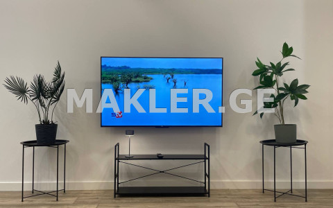  Kiralık 2   Daire in Vake dist.  in Mtskheta st. 