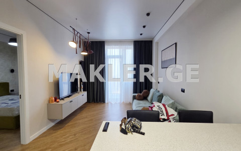  Satılık 2   Daire near the Lisi lake