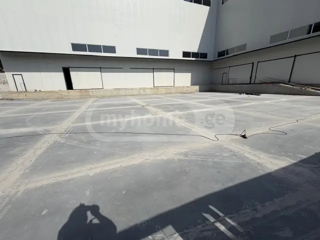 ls2.jpg