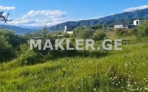  For Sale 2368 m² space Land in Saguramo