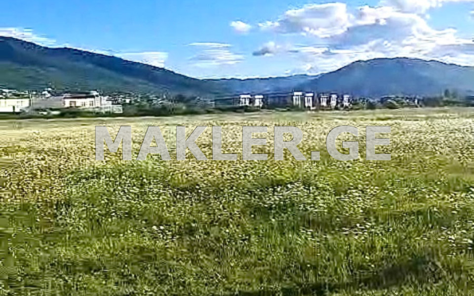  For Sale 2368 m² space Land in Saguramo