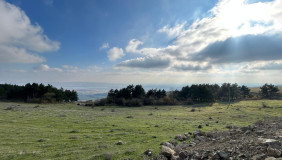 Satılık 50000 m²  Arsa in Tabakhmela