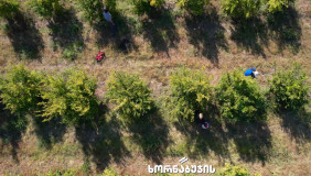 იყიდება 650000 m² ფართობის მიწა სიღნაღში