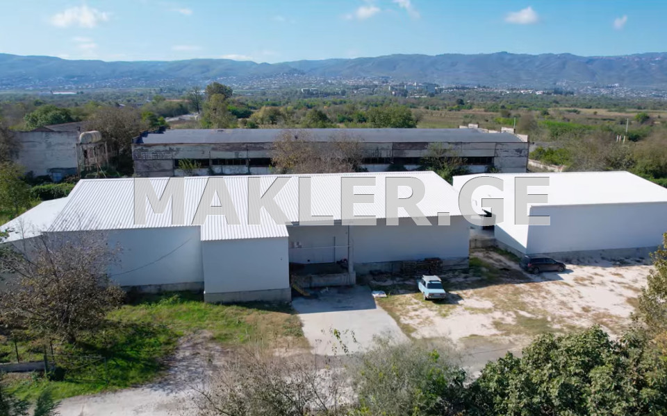  For Sale 650000 m² space Land in Signagi