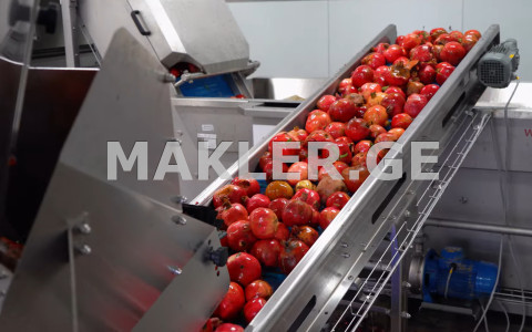  For Sale 650000 m² space Land in Signagi