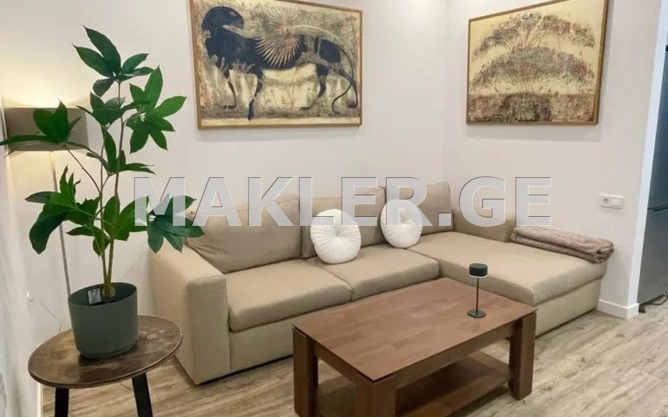  For Rent 2 room  Apartment in Vake dist.  in Mtskheta st. 