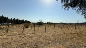 Продается 3000 m² площадь Земля в Лило