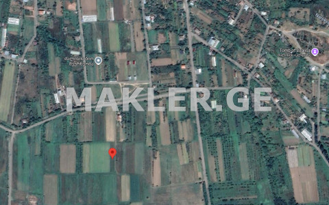  出售 700 m² space 土地 in Mtskheta