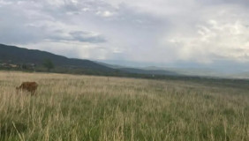 Продается 20000 m² площадь Земля в Цилкани