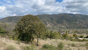 Satılık 1800 m²  Arsa in Natakhtari