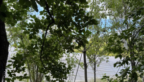 Satılık 1300 m²  Arsa near the Tbilisi sea