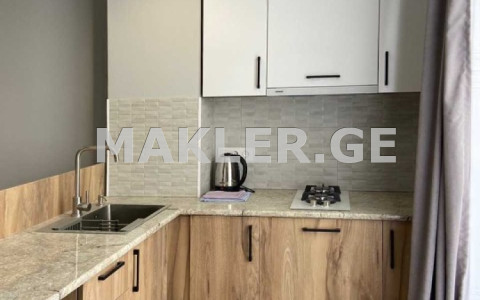  Сдаётся 2 комнатная  Квартира на Озеро Лиси  ცაცხვების ქუჩაზე 