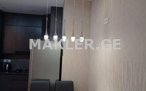  For Rent 2 room  Apartment in Saburtalo dist.  in Euli st. 