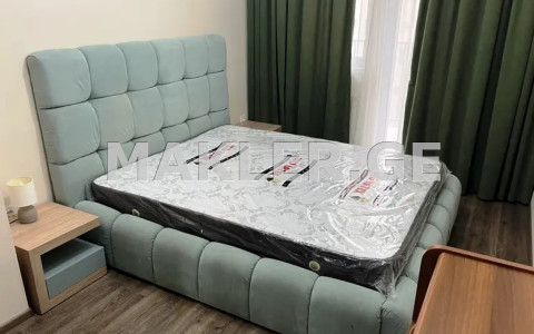  Kiralık 2   Daire in Saburtalo dist.  on D. Tavkhelidze St. 