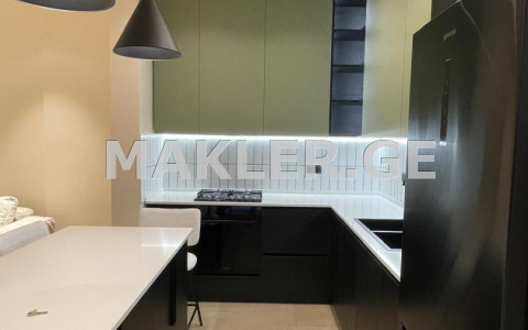  Satılık 116 m²  Villa in Isani dist.  in Beri Gabriel Salosi Ave. 