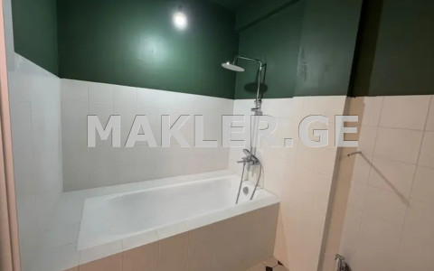  Satılık 2   Daire near the Lisi lake  