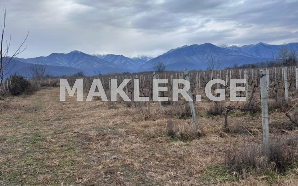  Satılık 52000 m²  Arsa in Kareli