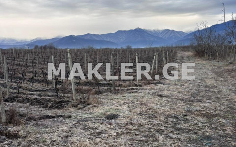  Satılık 52000 m²  Arsa in Kareli