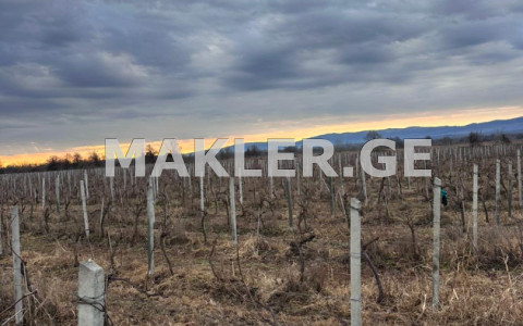  იყიდება 62217 m² ფართობის მიწა ქარელში