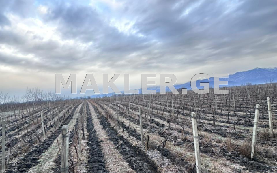  იყიდება 62217 m² ფართობის მიწა ქარელში