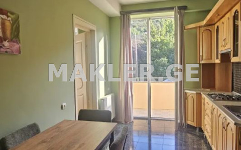  For Rent 4 room  Apartment in Vake dist.  in T.Tabidze st. 