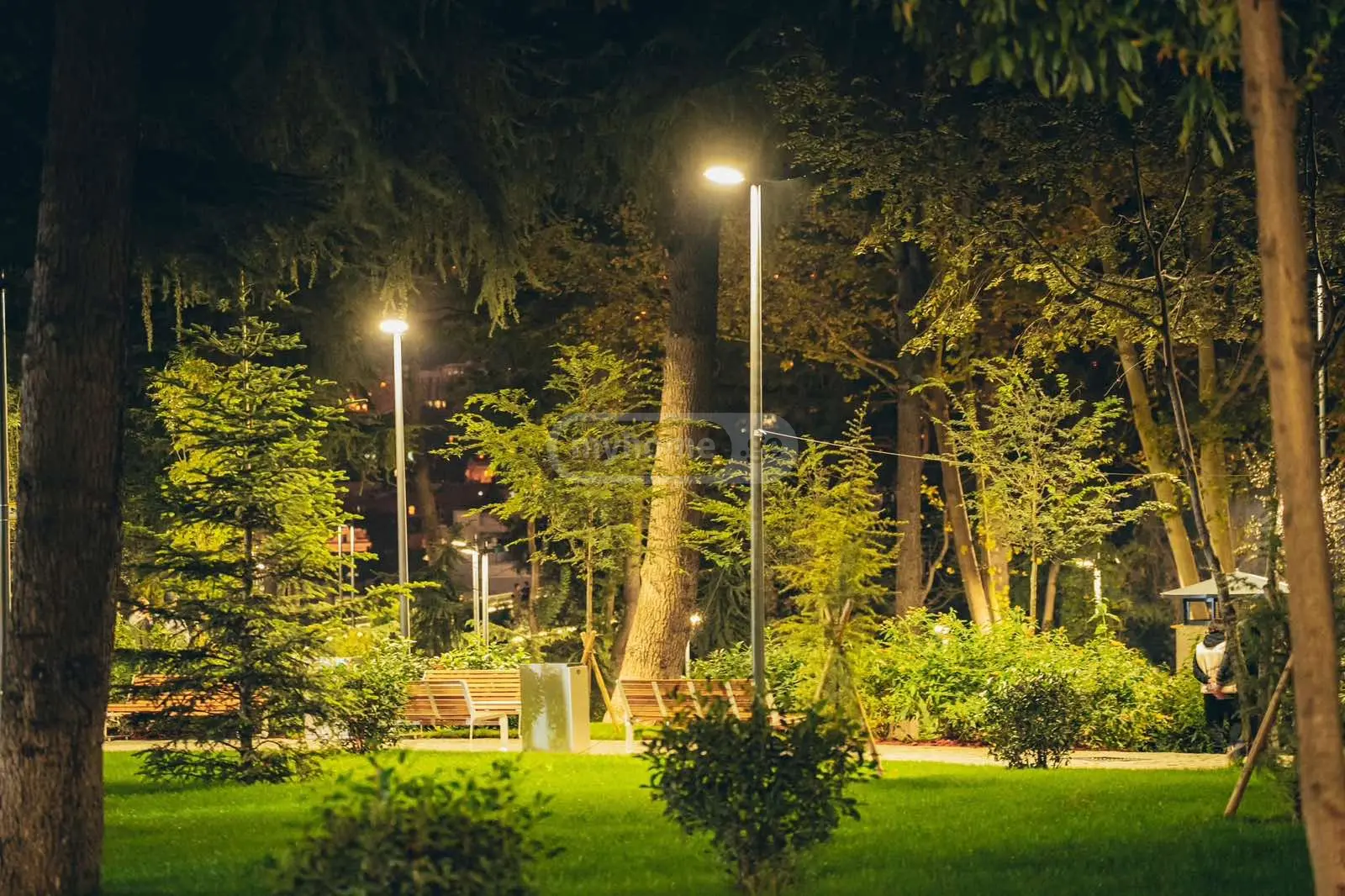  For Rent 2 room  Apartment in Vera dist.  in Kostava turn I 