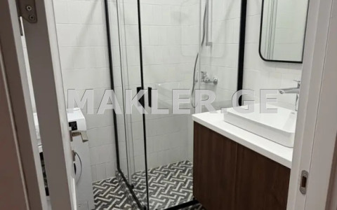  Kiralık 2   Daire in Saburtalo dist.  in Tamarashvili st. 