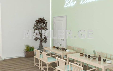  Kiralık 151 m²  İşyeri in Chugureti dist.  in Agmashenebeli ave. 