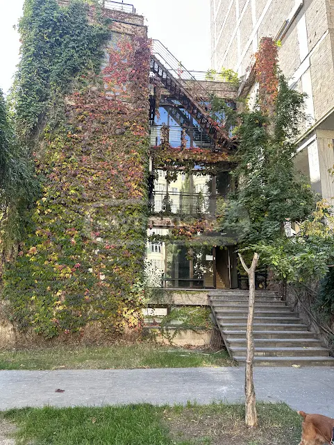  For Rent 184 m² space Office in Vake dist.  in L. Mikheladze .st 