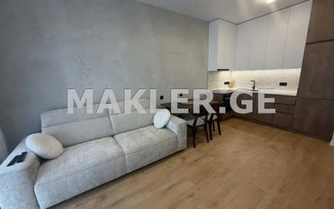  For Rent 2 room  Apartment in Saburtalo dist.  in M.Asatiani st. 