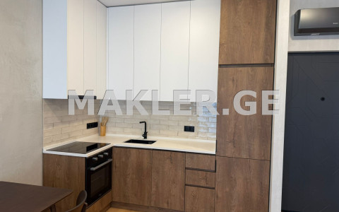  For Rent 2 room  Apartment in Saburtalo dist.  in M.Asatiani st. 