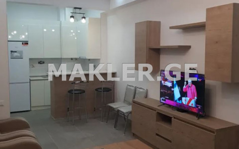  Kiralık 2   Daire in Saburtalo dist.  