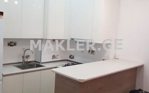  Kiralık 2   Daire in Saburtalo dist.  