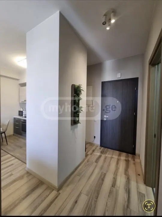  Kiralık 2   Daire in Saburtalo dist.  in Kartozia st. 